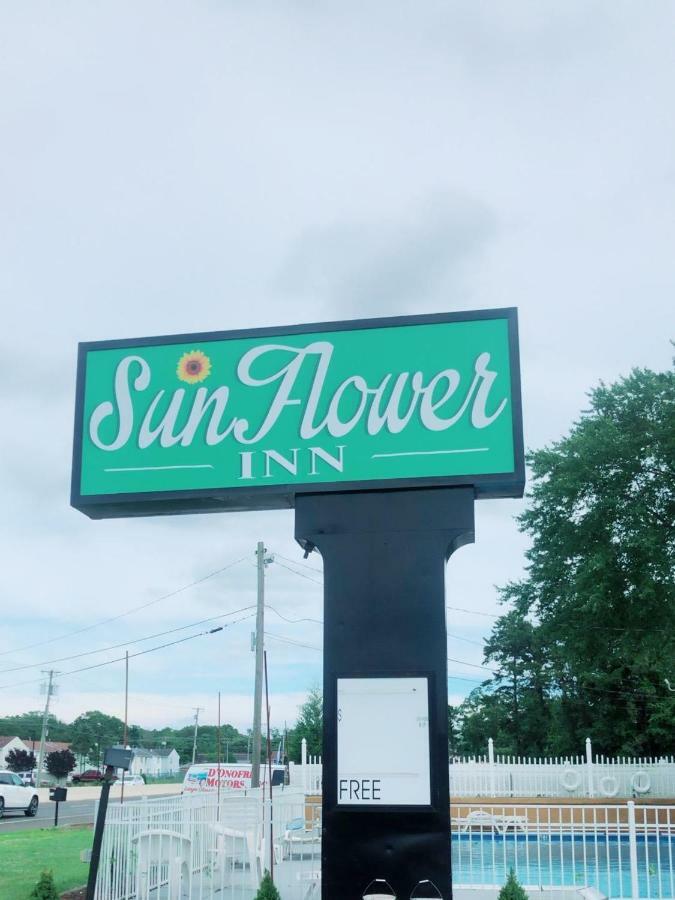 Sunflower Inn Galloway Kültér fotó